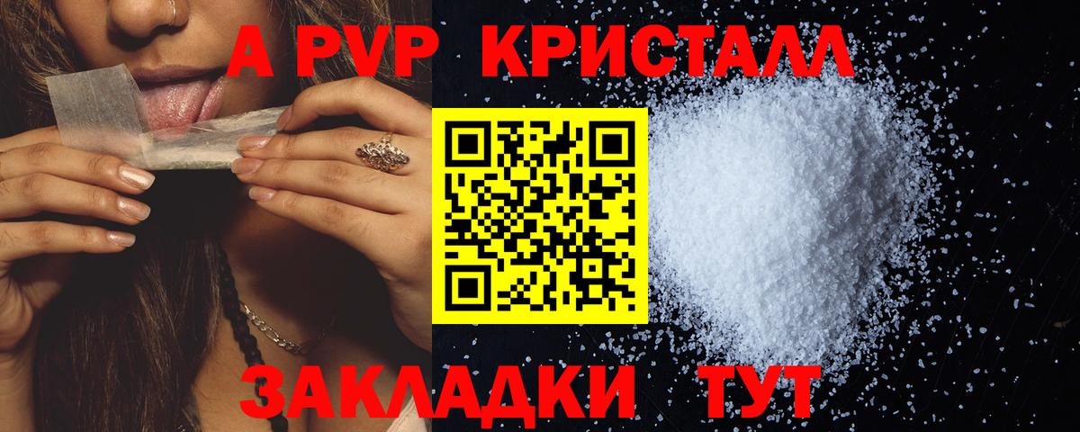 Alfa_PVP СК Борисоглебск