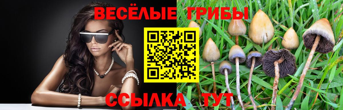 Галлюциногенные грибы мухоморы Борисоглебск