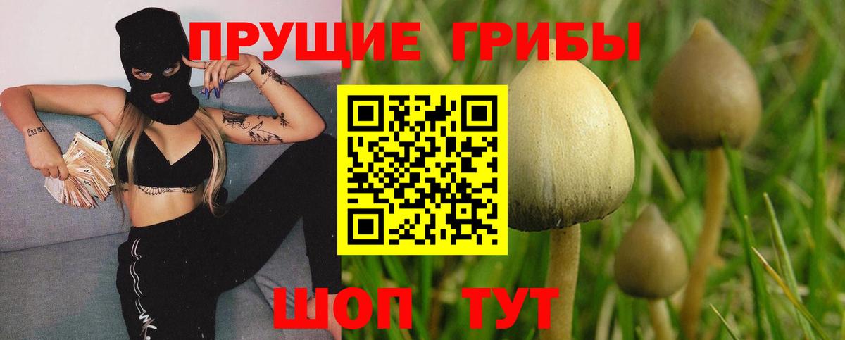 Псилоцибиновые грибы Magic Shrooms  Галлюциногенные грибы ЛСД  Борисоглебск  Вход с VPN 